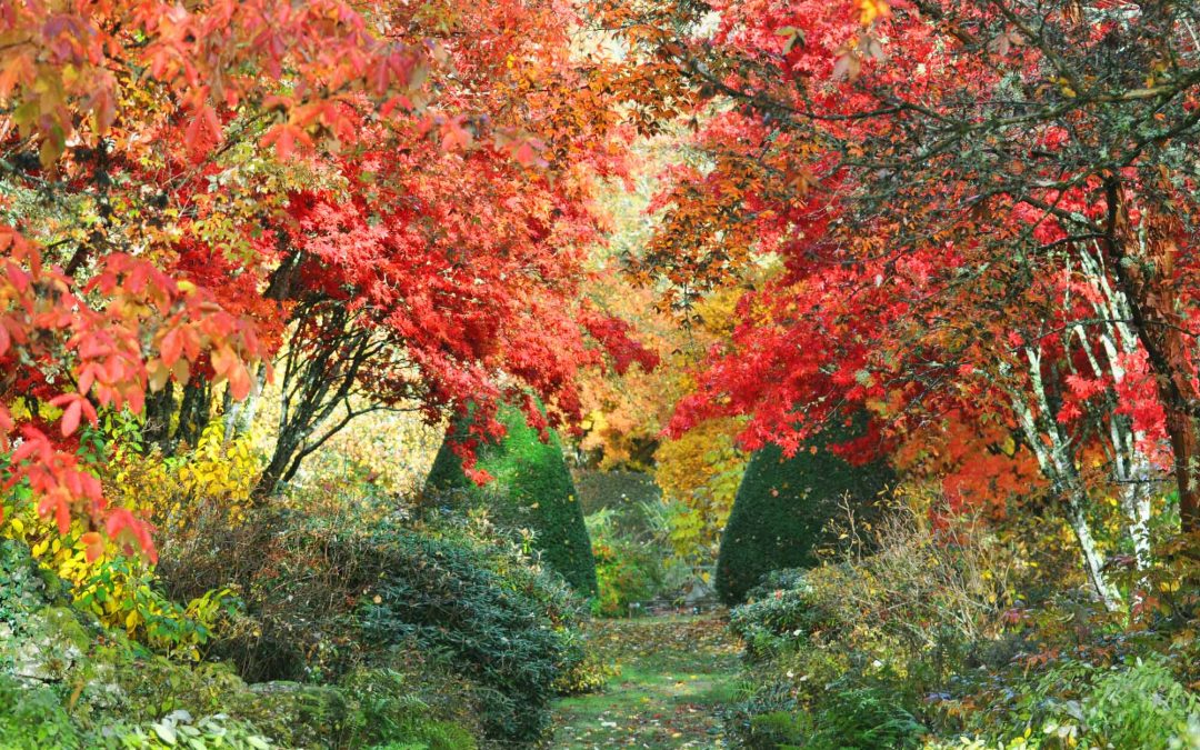 Liste des extensions WordPress incontournables pour booster votre site